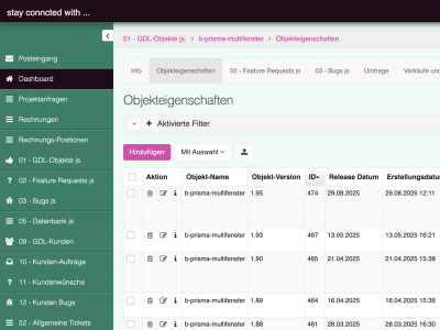 Rukovoditel Projektmanagement